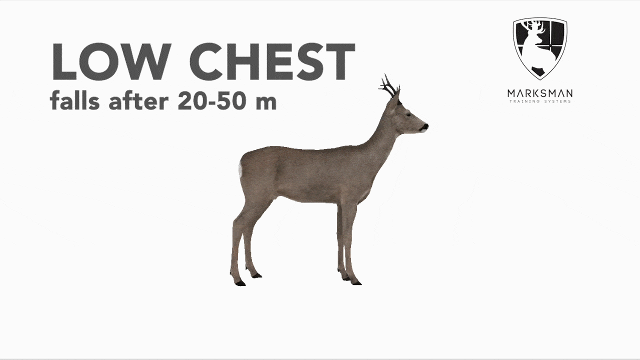 Roe deer low chest shot reaction: short run then collapse